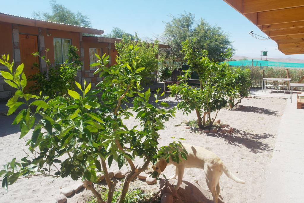 Complejo Turistico El Toconar Villa Toconao Exteriör bild