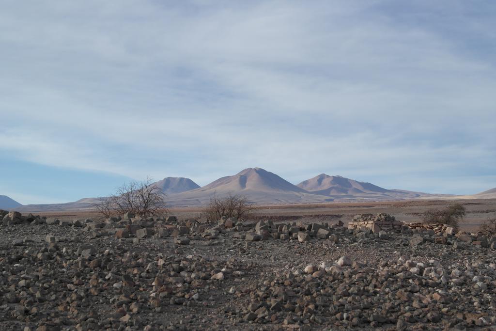 Complejo Turistico El Toconar Villa Toconao Exteriör bild