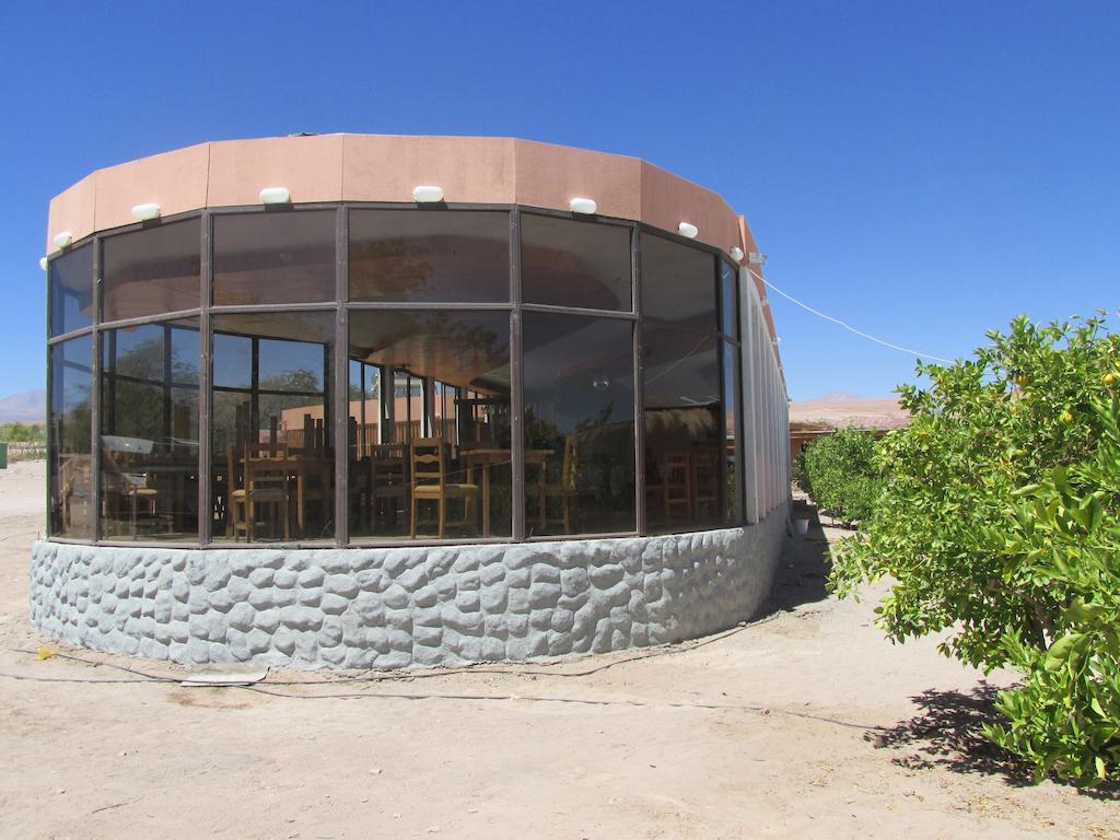 Complejo Turistico El Toconar Villa Toconao Exteriör bild